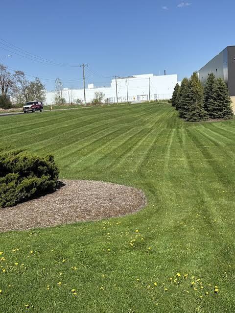 Striped turf at a large industrial property