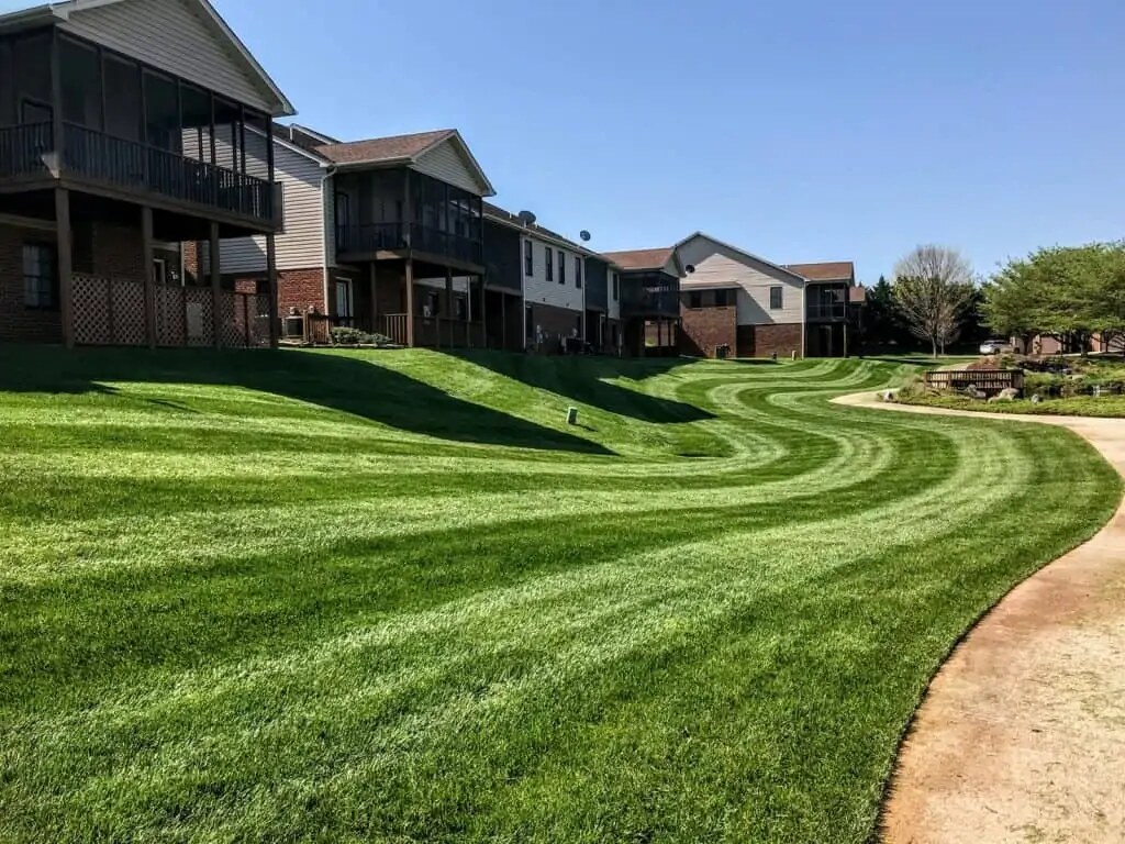 Striped lawn through a condominium community