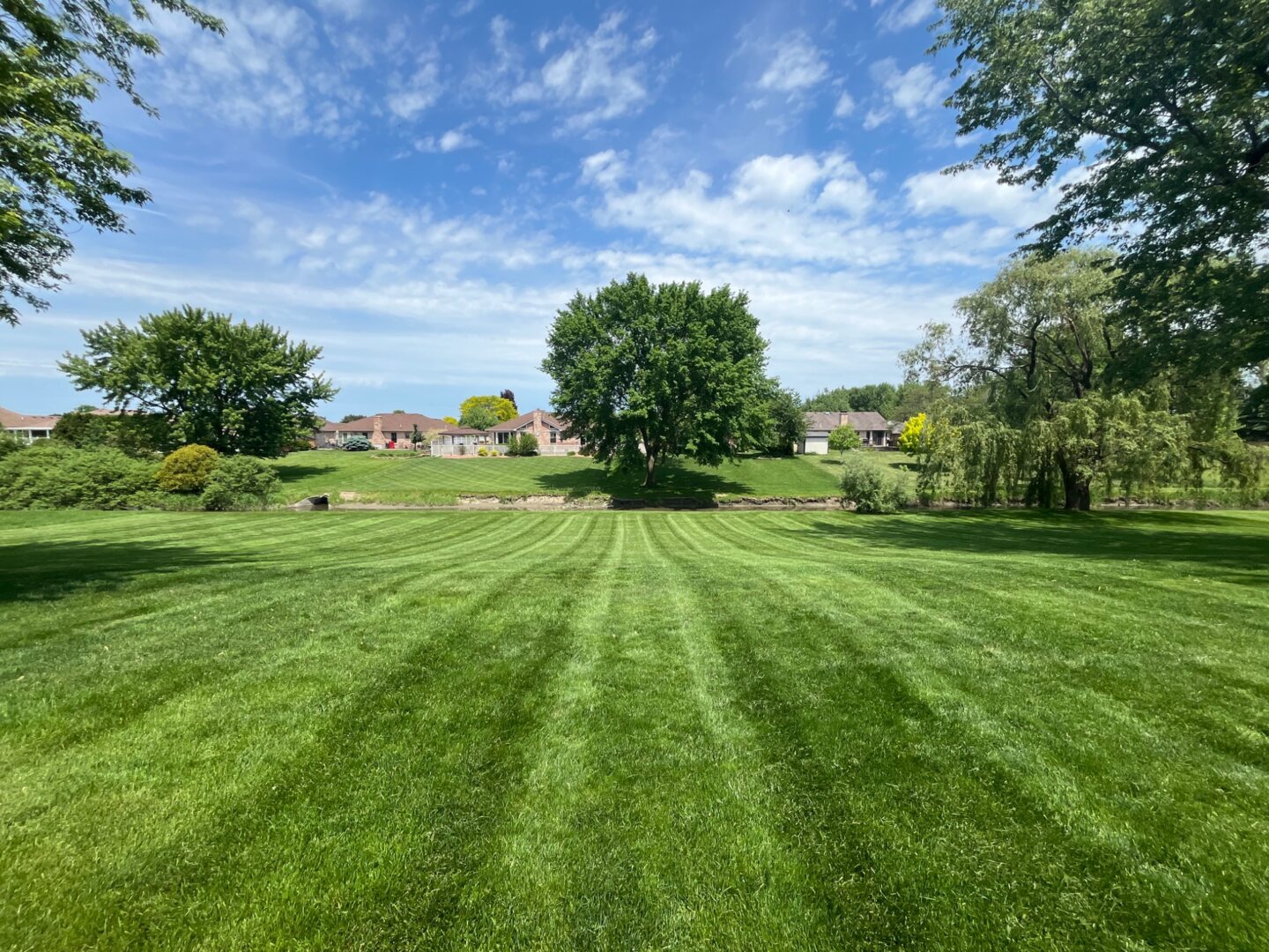 Wide striped lawn across a managed community common area