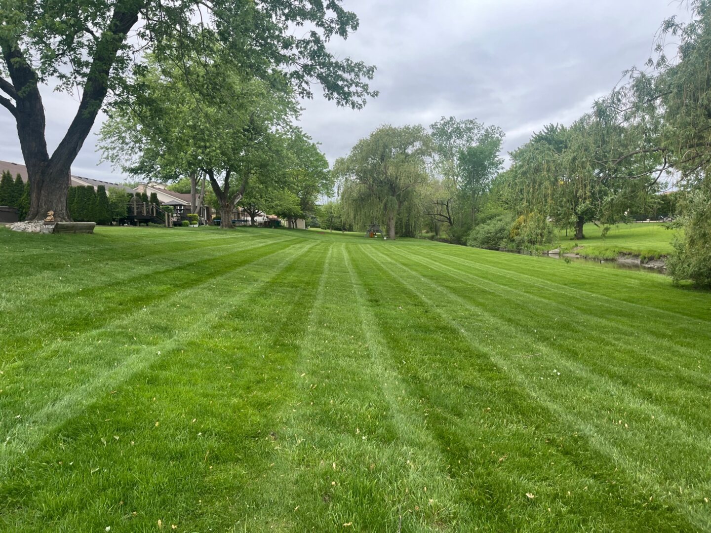 Striped turf along a creek in a residential community