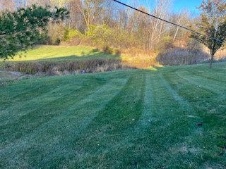 EZ Grow completed property maintenance work
