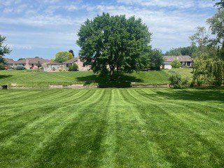 EZ Grow completed property maintenance work